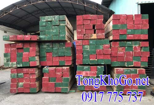 cung cấp gỗ giá tỵ (teak) nhập khẩu
