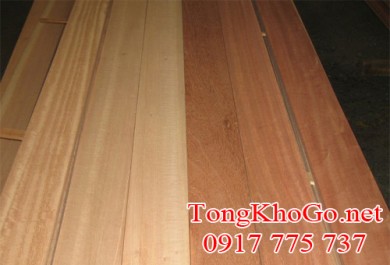 Giới thiệu về gỗ dái ngựa (gỗ mahogany) Philippine