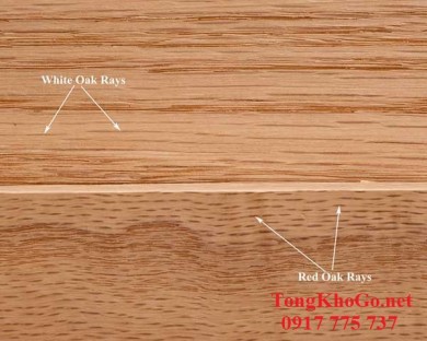 Sự khác biệt giữa gỗ sồi trắng (White Oak) và gỗ sồi đỏ (Red Oak) xẻ sấy là gì?