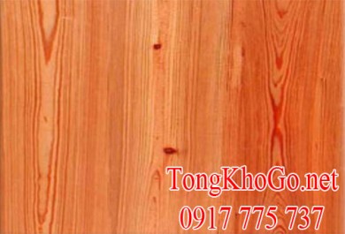 Thông tin chi tiết về gỗ thông đỏ (red pine)