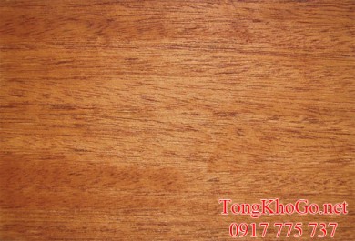 Thuộc tính và công dụng của gỗ dái ngựa (gỗ Mahogany)