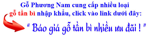 báo giá gỗ tần bì (ash) 2017 nhập khẩu nhiều ưu đãi