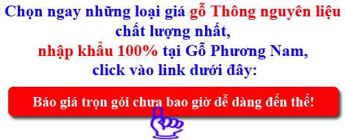 báo giá gỗ thông rẻ mới