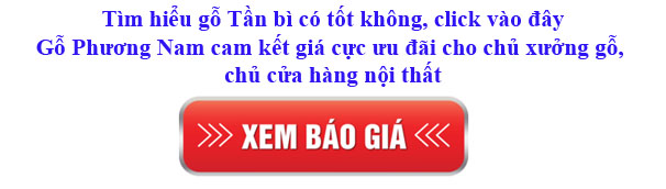 giá gỗ tần bì nhập khẩu