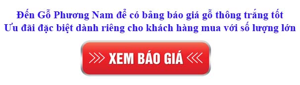 giá gỗ thông trắng nguyên liệu nhập khẩu