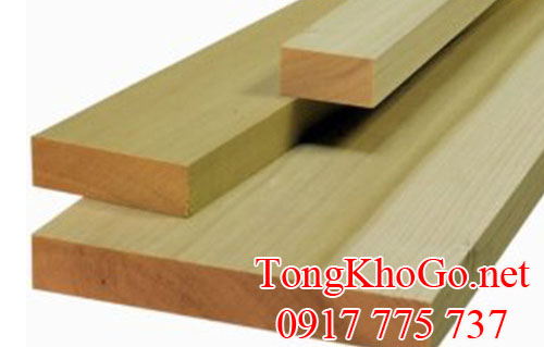 gỗ bạch dương (gỗ poplar)