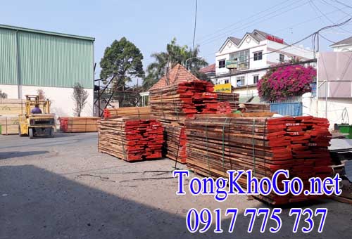 Cung cấp gỗ beech (gỗ dẻ gai)