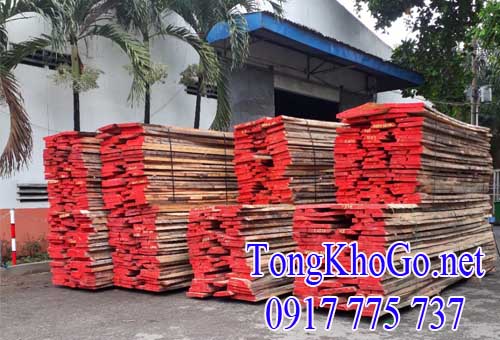 Gỗ beech chưa rong bìa nhập khẩu