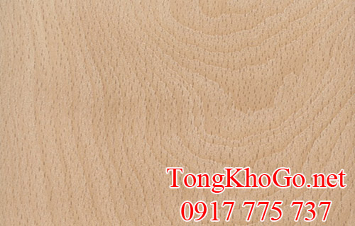 vân gỗ dẻ gai (beech) Mỹ nhập khẩu