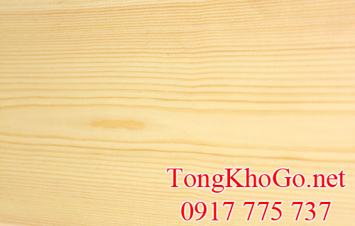 vân gỗ thông (gỗ pine) nhập khẩu