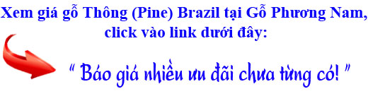 xem giá gỗ thông (pine) brazil tại Gỗ Phương Nam